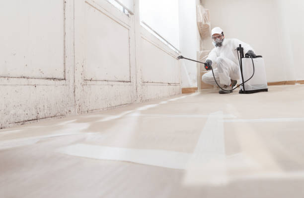 24/7 Emergency Attic Mold Removal experts in Quantico, VA