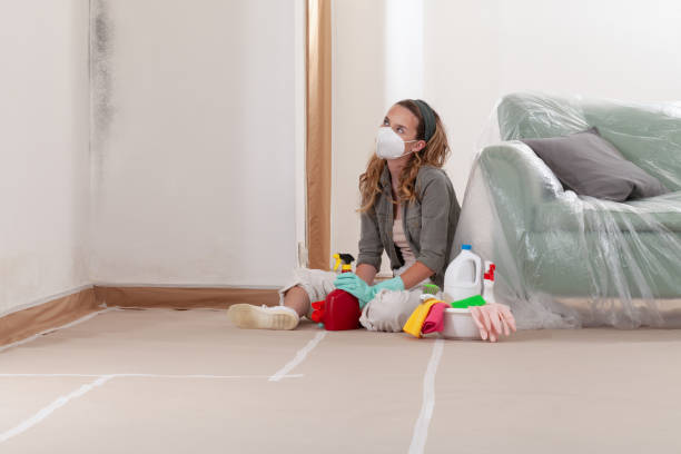 Reliable Attic Mold Removal contractor in Quantico, VA by WQB Mold Removal