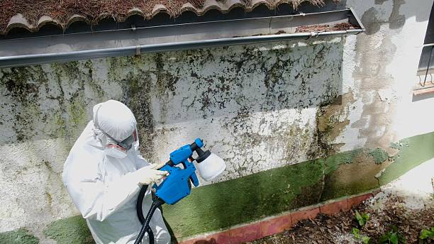 Top rated local Attic Mold Removal specialists in Quantico, VA